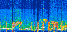 /calipso-imagery/data/BROWSE/production/V5-00/2022-06-01/2022-06-01_02-40-09_V5.00_3_thmb.png image missing