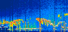/calipso-imagery/data/BROWSE/production/V5-00/2022-06-01/2022-06-01_05-57-09_V5.00_1_thmb.png image missing