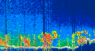 /calipso-imagery/data/BROWSE/production/V5-00/2022-06-01/2022-06-01_15-48-05_V5.00_4_thmb.png image missing