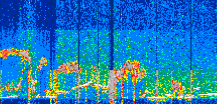 /calipso-imagery/data/BROWSE/production/V5-00/2022-06-01/2022-06-01_19-05-06_V5.00_3_thmb.png image missing