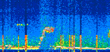 /calipso-imagery/data/BROWSE/production/V5-00/2022-06-01/2022-06-01_22-22-06_V5.00_2_thmb.png image missing