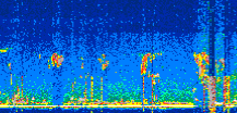 /calipso-imagery/data/BROWSE/production/V5-00/2022-06-03/2022-06-03_03-55-00_V5.00_2_thmb.png image missing