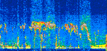 /calipso-imagery/data/BROWSE/production/V5-00/2022-06-03/2022-06-03_05-33-25_V5.00_2_thmb.png image missing