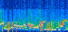 /calipso-imagery/data/BROWSE/production/V5-00/2022-06-03/2022-06-03_07-11-55_V5.00_3_thmb.png image missing
