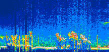 /calipso-imagery/data/BROWSE/production/V5-00/2022-06-03/2022-06-03_08-50-26_V5.00_1_thmb.png image missing