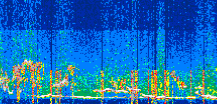 /calipso-imagery/data/BROWSE/production/V5-00/2022-06-03/2022-06-03_08-50-26_V5.00_3_thmb.png image missing