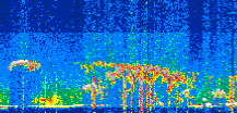 /calipso-imagery/data/BROWSE/production/V5-00/2022-06-03/2022-06-03_10-28-56_V5.00_3_thmb.png image missing