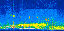 /calipso-imagery/data/BROWSE/production/V5-00/2022-06-03/2022-06-03_12-07-26_V5.00_2_thmb.png image missing