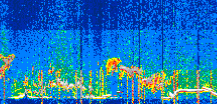 /calipso-imagery/data/BROWSE/production/V5-00/2022-06-03/2022-06-03_13-45-56_V5.00_3_thmb.png image missing