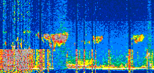 /calipso-imagery/data/BROWSE/production/V5-00/2022-06-03/2022-06-03_17-02-57_V5.00_2_thmb.png image missing