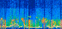 /calipso-imagery/data/BROWSE/production/V5-00/2022-06-03/2022-06-03_17-02-57_V5.00_3_thmb.png image missing