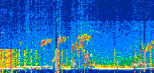 /calipso-imagery/data/BROWSE/production/V5-00/2022-06-03/2022-06-03_20-19-52_V5.00_2_thmb.png image missing