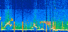 /calipso-imagery/data/BROWSE/production/V5-00/2022-06-03/2022-06-03_20-19-52_V5.00_3_thmb.png image missing