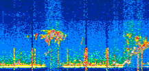 /calipso-imagery/data/BROWSE/production/V5-00/2022-06-10/2022-06-10_03-21-11_V5.00_2_thmb.png image missing