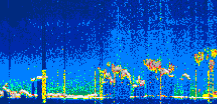 /calipso-imagery/data/BROWSE/production/V5-00/2022-06-10/2022-06-10_06-38-11_V5.00_1_thmb.png image missing