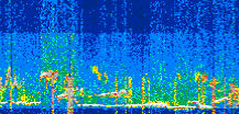 /calipso-imagery/data/BROWSE/production/V5-00/2022-06-10/2022-06-10_06-38-11_V5.00_3_thmb.png image missing