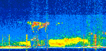 /calipso-imagery/data/BROWSE/production/V5-00/2022-06-10/2022-06-10_14-50-43_V5.00_2_thmb.png image missing