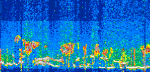 /calipso-imagery/data/BROWSE/production/V5-00/2022-06-10/2022-06-10_21-24-38_V5.00_3_thmb.png image missing