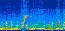 /calipso-imagery/data/BROWSE/production/V5-00/2022-06-10/2022-06-10_23-03-09_V5.00_2_thmb.png image missing