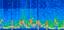 /calipso-imagery/data/BROWSE/production/V5-00/2022-06-10/2022-06-10_23-03-09_V5.00_3_thmb.png image missing