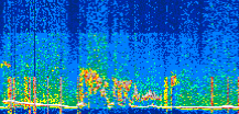 /calipso-imagery/data/BROWSE/production/V5-00/2022-06-12/2022-06-12_02-57-32_V5.00_3_thmb.png image missing