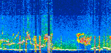 /calipso-imagery/data/BROWSE/production/V5-00/2022-06-12/2022-06-12_09-31-28_V5.00_3_thmb.png image missing