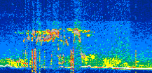 /calipso-imagery/data/BROWSE/production/V5-00/2022-06-12/2022-06-12_12-48-28_V5.00_2_thmb.png image missing