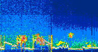 /calipso-imagery/data/BROWSE/production/V5-00/2022-06-12/2022-06-12_12-48-28_V5.00_4_thmb.png image missing