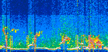 /calipso-imagery/data/BROWSE/production/V5-00/2022-06-12/2022-06-12_17-43-54_V5.00_3_thmb.png image missing