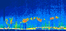 /calipso-imagery/data/BROWSE/production/V5-00/2022-06-12/2022-06-12_22-39-25_V5.00_1_thmb.png image missing