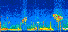 /calipso-imagery/data/BROWSE/production/V5-00/2022-06-16/2022-06-16_02-09-59_V5.00_2_thmb.png image missing