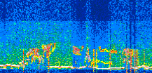 /calipso-imagery/data/BROWSE/production/V5-00/2022-06-16/2022-06-16_02-09-59_V5.00_3_thmb.png image missing
