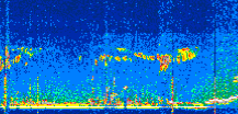 /calipso-imagery/data/BROWSE/production/V5-00/2022-06-16/2022-06-16_03-48-29_V5.00_2_thmb.png image missing