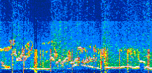 /calipso-imagery/data/BROWSE/production/V5-00/2022-06-16/2022-06-16_03-48-29_V5.00_3_thmb.png image missing