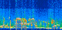 /calipso-imagery/data/BROWSE/production/V5-00/2022-06-16/2022-06-16_05-26-59_V5.00_3_thmb.png image missing