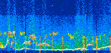 /calipso-imagery/data/BROWSE/production/V5-00/2022-06-16/2022-06-16_08-43-55_V5.00_3_thmb.png image missing