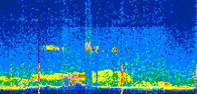 /calipso-imagery/data/BROWSE/production/V5-00/2022-06-16/2022-06-16_12-00-55_V5.00_2_thmb.png image missing
