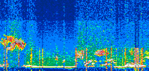 /calipso-imagery/data/BROWSE/production/V5-00/2022-06-16/2022-06-16_16-56-26_V5.00_3_thmb.png image missing