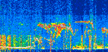 /calipso-imagery/data/BROWSE/production/V5-00/2022-06-16/2022-06-16_20-13-21_V5.00_2_thmb.png image missing