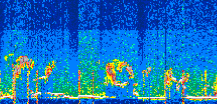 /calipso-imagery/data/BROWSE/production/V5-00/2022-06-21/2022-06-21_00-21-14_V5.00_3_thmb.png image missing