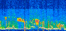 /calipso-imagery/data/BROWSE/production/V5-00/2022-06-21/2022-06-21_01-59-44_V5.00_3_thmb.png image missing
