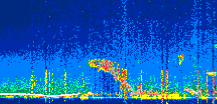 /calipso-imagery/data/BROWSE/production/V5-00/2022-06-21/2022-06-21_03-38-14_V5.00_1_thmb.png image missing