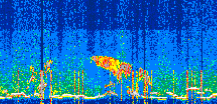 /calipso-imagery/data/BROWSE/production/V5-00/2022-06-21/2022-06-21_03-38-14_V5.00_3_thmb.png image missing