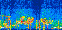 /calipso-imagery/data/BROWSE/production/V5-00/2022-06-21/2022-06-21_05-16-44_V5.00_3_thmb.png image missing