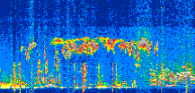 /calipso-imagery/data/BROWSE/production/V5-00/2022-06-21/2022-06-21_06-55-10_V5.00_2_thmb.png image missing