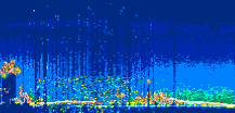 /calipso-imagery/data/BROWSE/production/V5-00/2022-06-21/2022-06-21_07-47-40_V5.00_2_thmb.png image missing