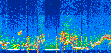 /calipso-imagery/data/BROWSE/production/V5-00/2022-06-21/2022-06-21_11-50-40_V5.00_3_thmb.png image missing