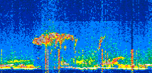 /calipso-imagery/data/BROWSE/production/V5-00/2022-06-21/2022-06-21_15-07-41_V5.00_2_thmb.png image missing