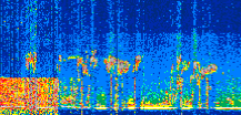 /calipso-imagery/data/BROWSE/production/V5-00/2022-06-21/2022-06-21_18-24-36_V5.00_2_thmb.png image missing