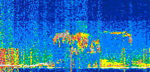 /calipso-imagery/data/BROWSE/production/V5-00/2022-06-21/2022-06-21_20-03-06_V5.00_2_thmb.png image missing